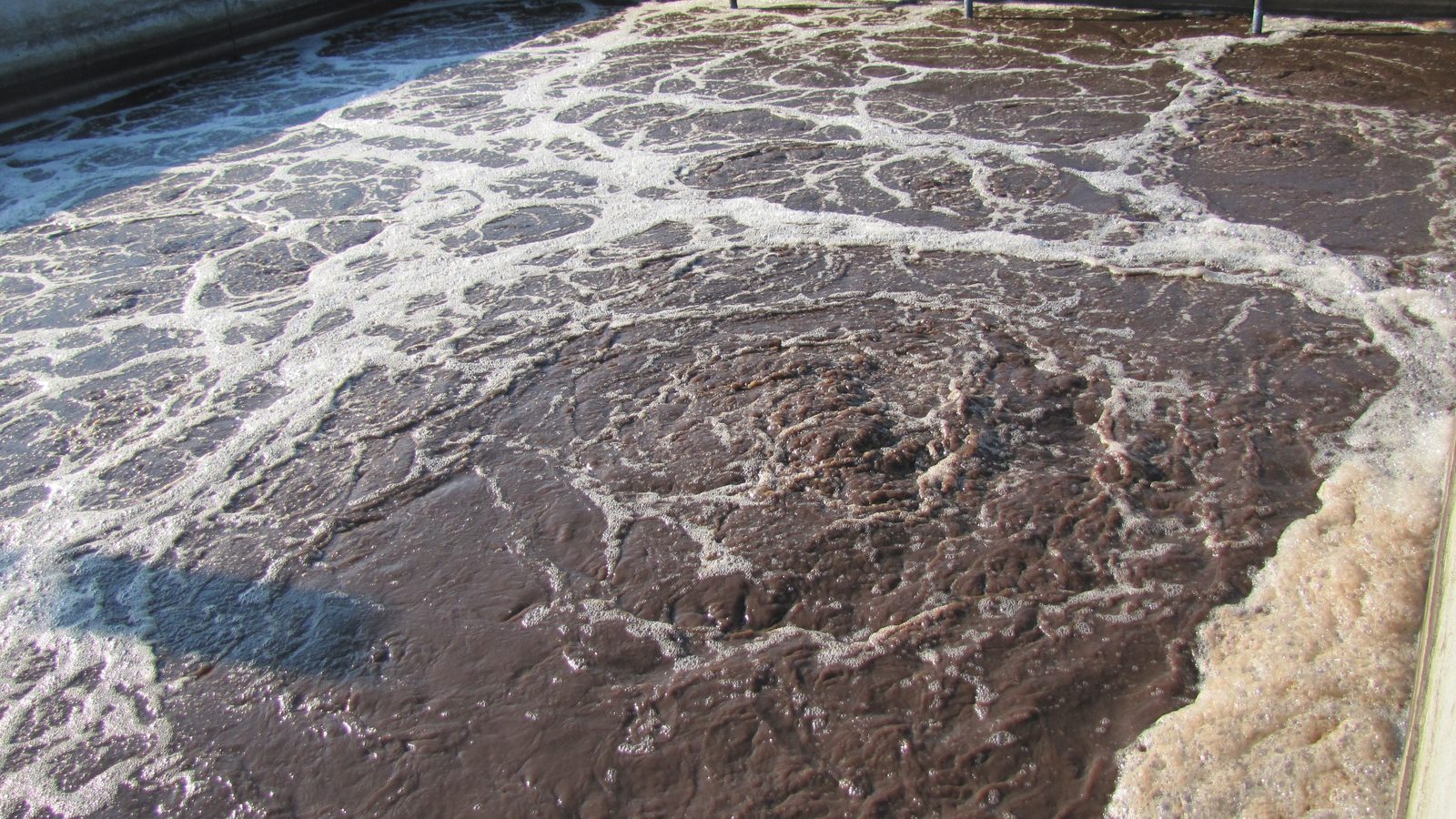 Aeration surface of a biological tank — the aerobic stage of an MBR
