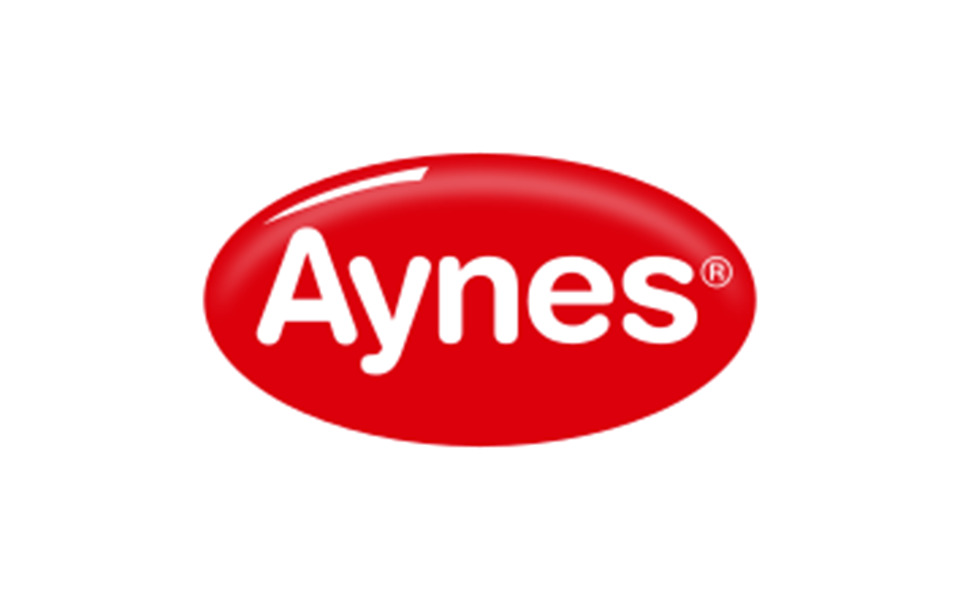 Aynes logosu